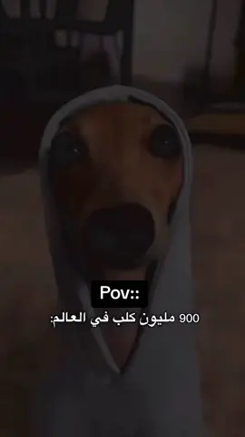 منشن 🤣🤣