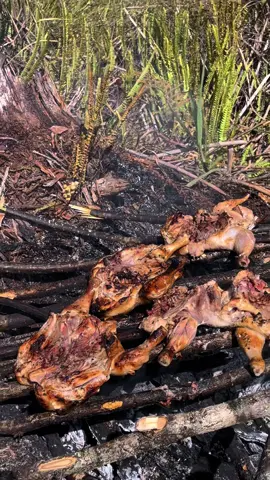 #Republikoranggunung📍🚥 