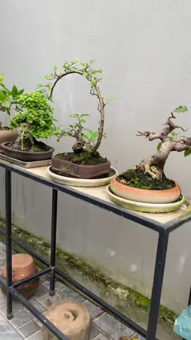 Cứ tưởng quay vào ô hốc được . 😆 