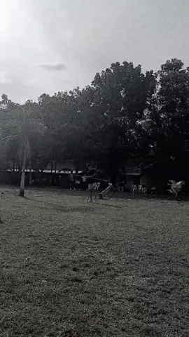 #javelinthrow #makeitviral 