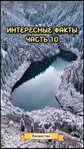#интересные#факты10