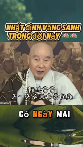 Nhất định vãng sanh trong đời này 🪷🪷🪷 #phatphapnhiemmau #hoathuongtinhkhong #phatphap #adidaphat #xuhuong  
