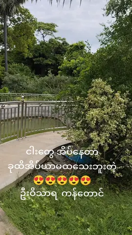 @ဦးဝိသာရ ကန်တောင်  ငါးတွေ အိပ်နေတာတဲ့😍😍😍