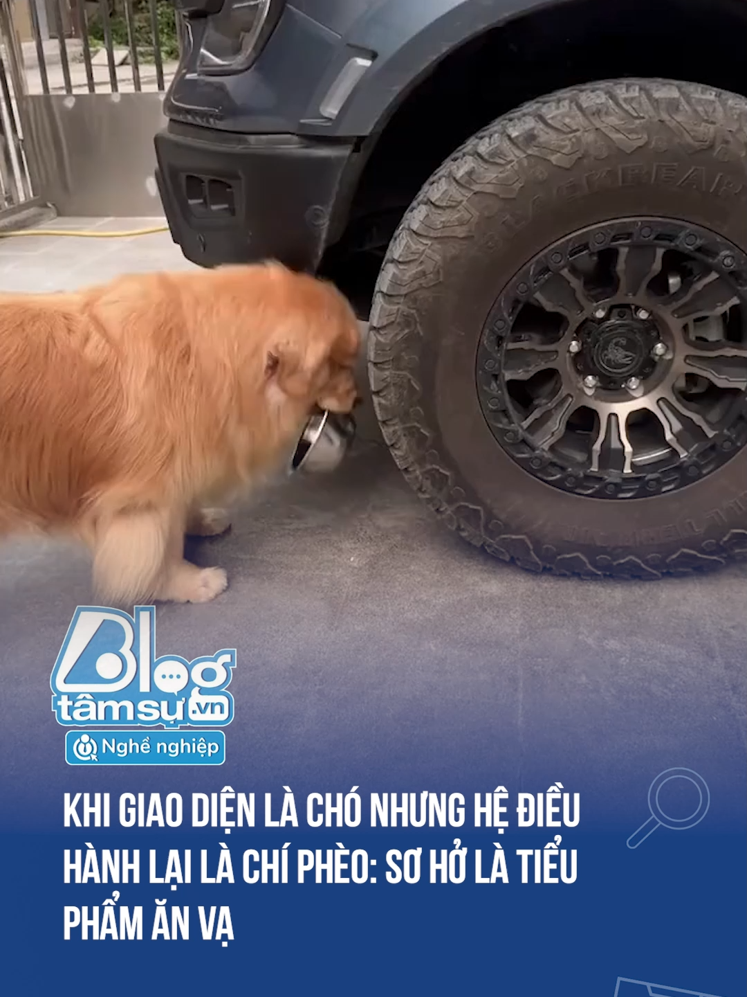 Ai trùng sinh vào nó vậy, anh Chí à 🤣🤣🤣 #discovery #blogtamsu #xuhuong #btsmedia #tiktoknews #funfact #viral #haihuoc #cho