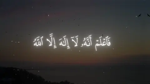 Surah Muhammed, 19 | Yasser al dosari | #Quran #قران #fyp #fypシ゚ #quran_alkarim 