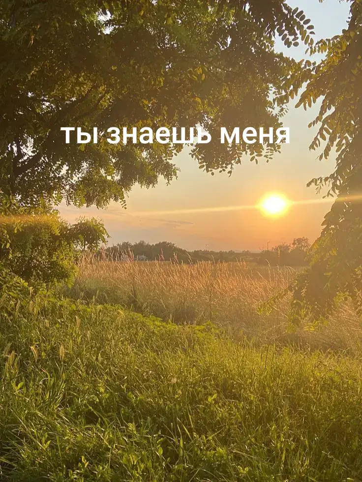 ты знаешь меня, но не мою историю. #типотренд? 