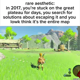 tell me I wasn’t the only one who was stuck there😔 #zelda #botw #nintendo #2017 #nostalgia 