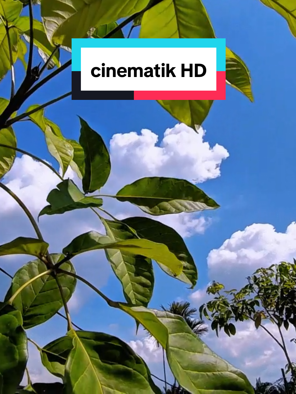yang lagi viral nih...cuma kamu cintaku di tiktok ini,,😅😅#redminote12pro5g #colourgrading #ultrawidecamera #CapCut #fyp 