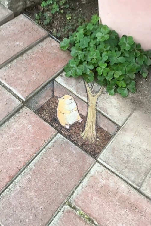 When the Streets Begin to Smile 🎨🧑‍🎨😊😊#art #amazing #sidewalkchalk #streetart #beauty #creative #artist