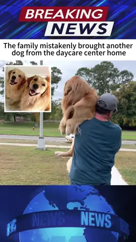 #news #fypシ #fypシ゚viral #fyppppppppppppppppppppppp #fyp 