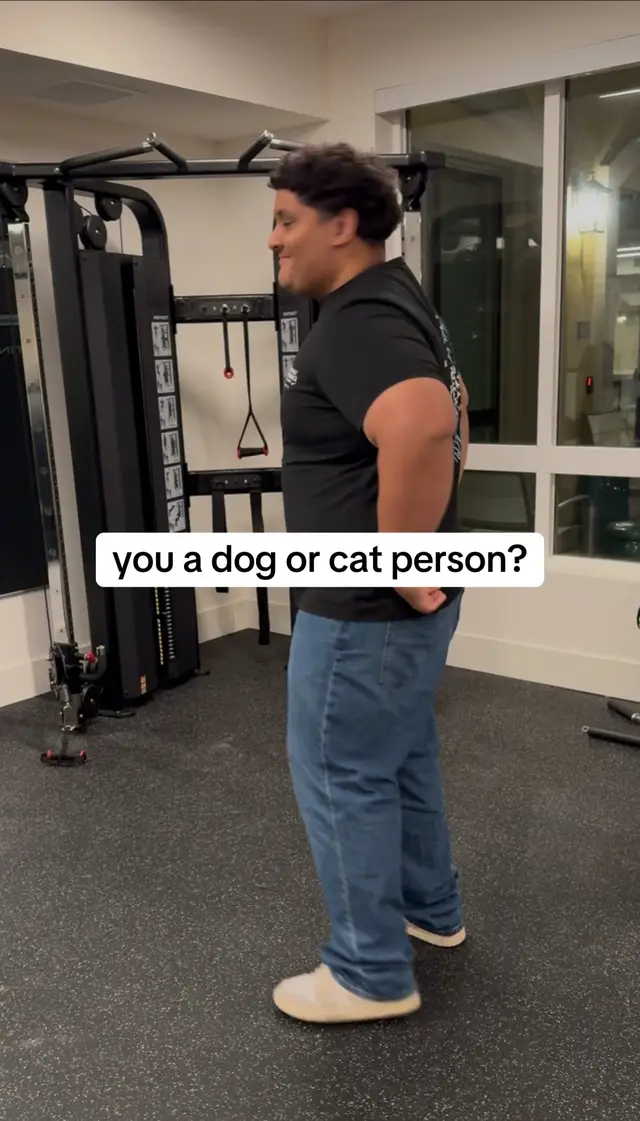 #cats #kitten #cattok #funny #fyp 