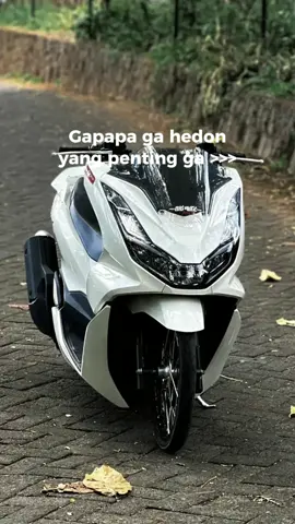 ga apah 🤭🇹🇭 #pcx160ล้อ17แต่งสวย  #fyppppppppppppppppppppppp 