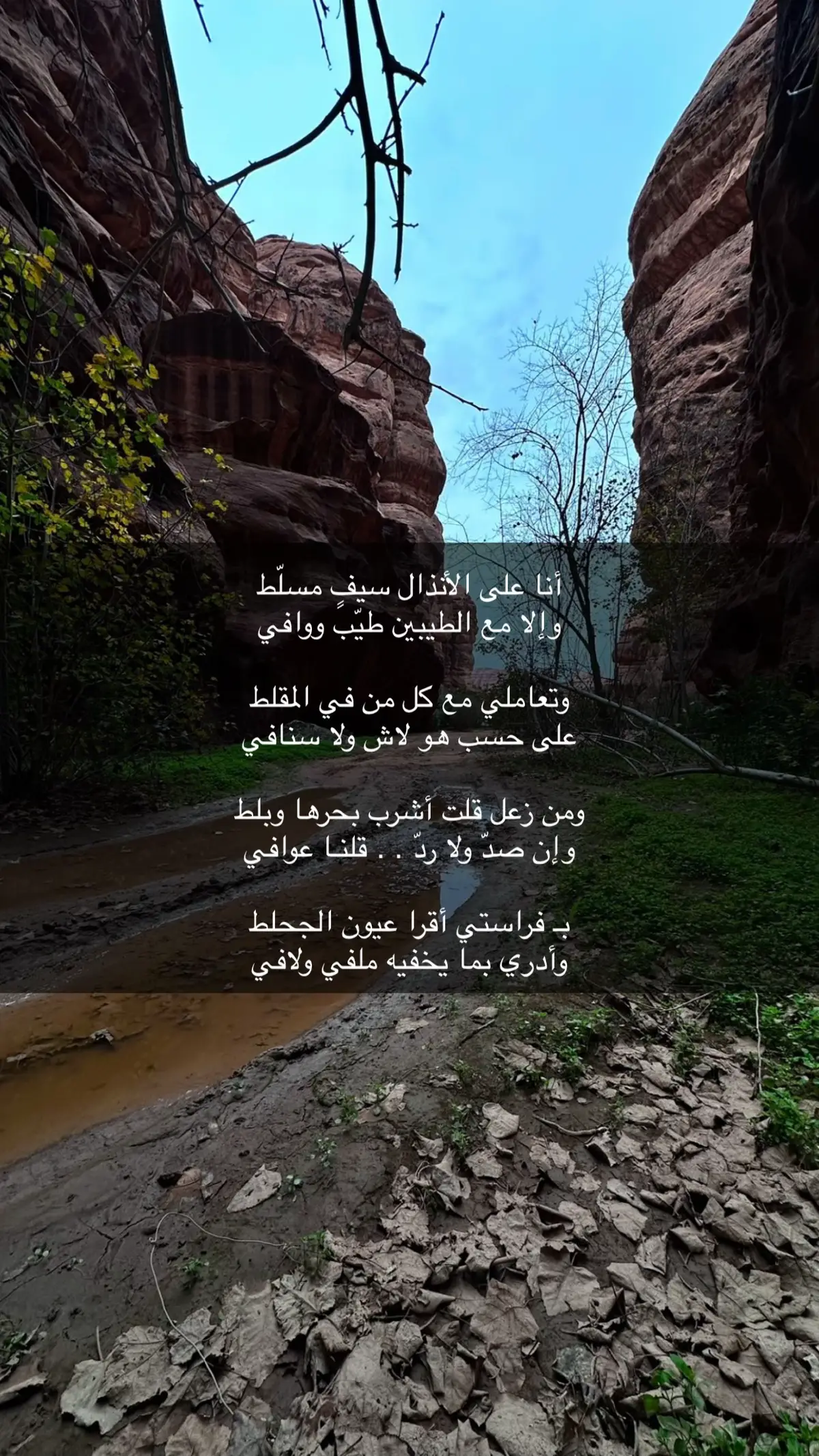 #اكسبلورexplore #قصايد_شعر #حكم #عزة_النفس #مساء_الخير 
