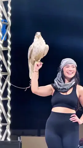 #dubai #dubaisafari #viral #viralvideo #fyp 