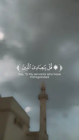 Quran video for you 🤍🤍🤍 allah🤍🤍🤍🤍🤍🤍🤍#mashallah🕋🕋🤲🤲☝️☝️ 