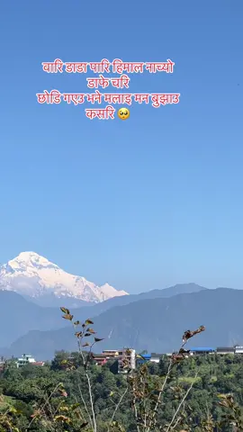 छोडि नजानु है त माया 🥰❤️#gulmimuser💚 #keepsupporting #naturelover @Srijana Khanal 