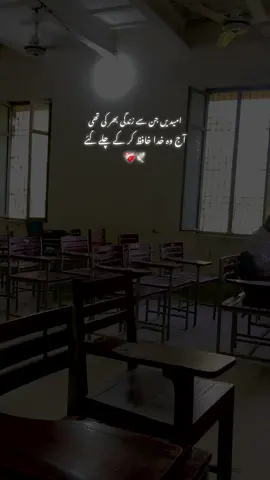 خدا خافظ کر کے چلے گئے😭🥀#foryou #foryoupage 