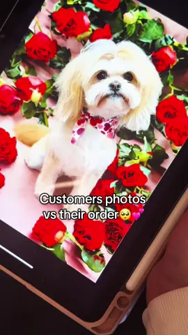 POV: When your customer’s photo is already perfect 🥹❤️ We love seeing your pets come to life through your orders – every single one melts our hearts 🐾✨ Keep tagging us in your photos so we can feature yours next! 💌 #PetPortrait #EmbroideryArt #CustomGift #PetLover #DogMum  