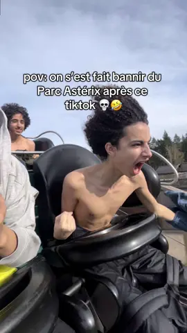 En vrai c’était grave bon🤣#naiss #parcasterix #pourtoi #drole #parcattraction 