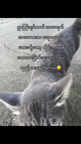 #fyp #ပေါ်ရောက်စမ်းကွာ😒👊 လှည့်စားနေကြတယ်🥺