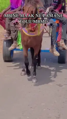 Lamane mbine maak né🌳❤️💪