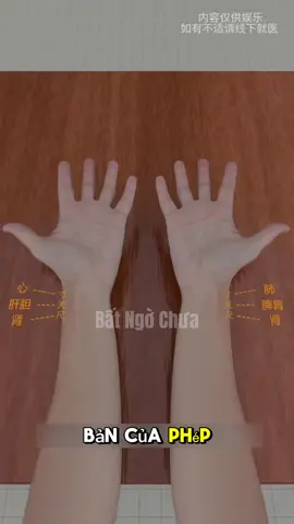 Chúc mừng bạn đã thành công lĩnh hội nghệ thuật bắt mạch cổ truyền – bí quyết nghìn năm của Đông y! #kienthucthuvi #xuhuong #hoccungtiktok #viral #giaitri 