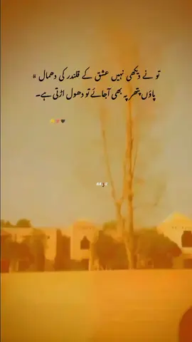 Han g 💛💯✅😞🍂...