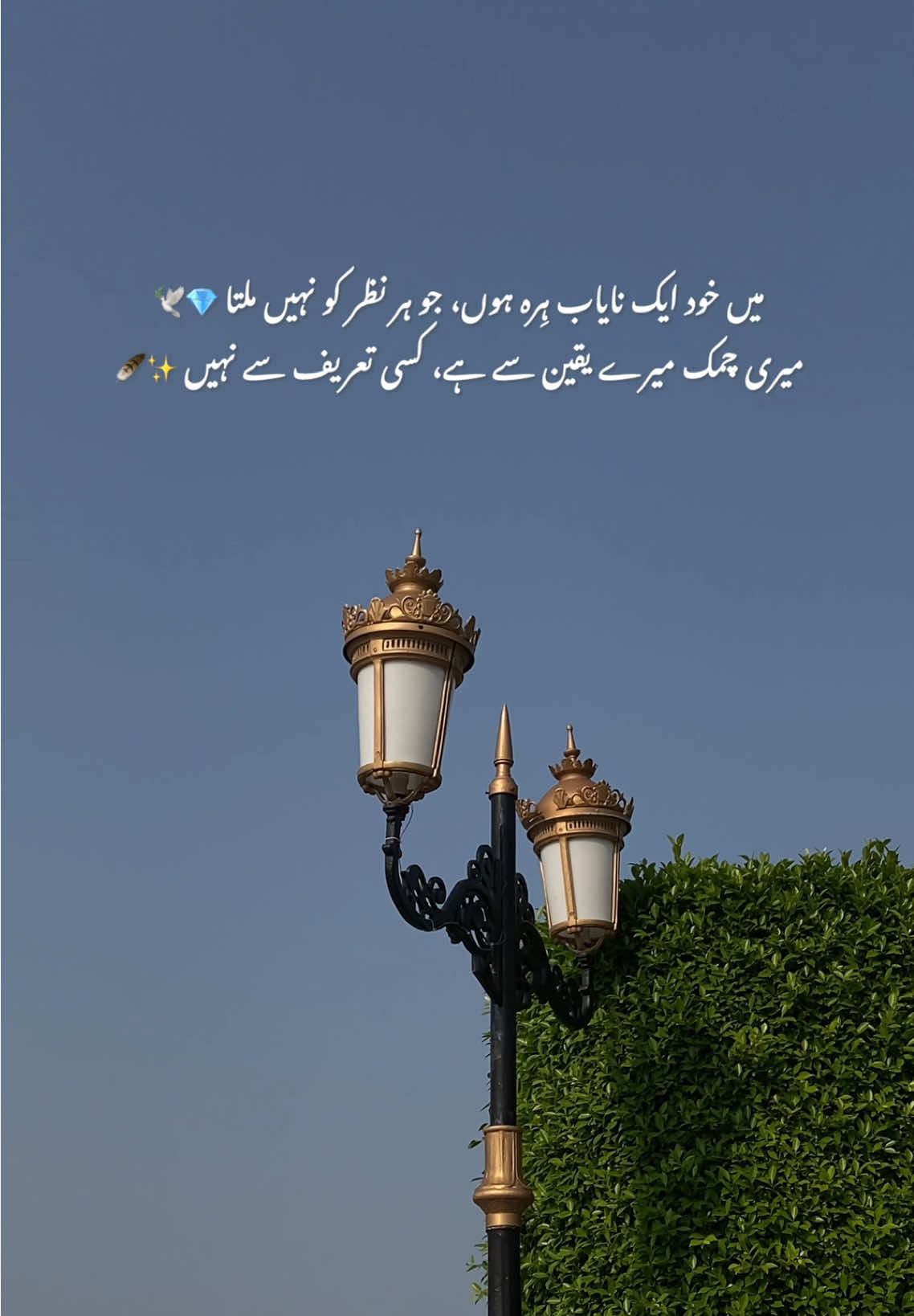 Han Jee🔥❤️ Sc ID (mrshahzadjutt) . . . . Ishq Dard Tanhai Wafa Urdu Shayari Heartbreak Mohabbat Jazbaat Dil ki baat Yaadein Khamoshi Umeed Zindagi Raat aur Shayari Tere bina Khwaab Sukoon Bewafa Aansu Pyar ka izhar #poetry  #shayari  #fyp  #foryoupage  #poetrylover 