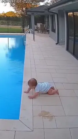 Dog Saves Baby in Last-Second Hero Move 🐶❤️ #baby #dog #protector #cutepets #fyp 