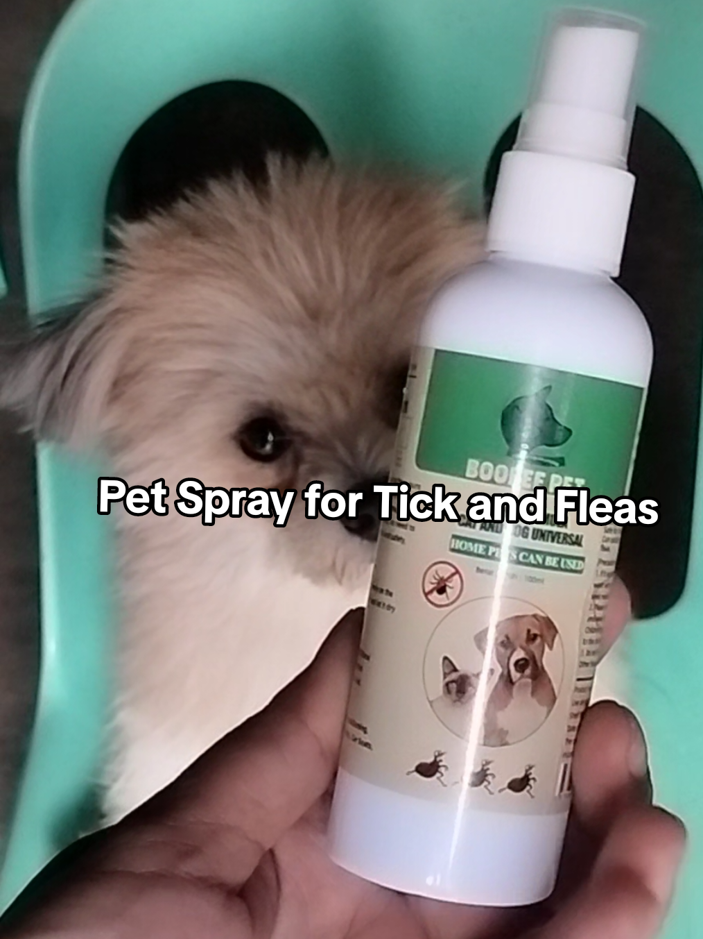Pets Spray tick and flea treatment  #petspray #pets #spray 