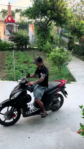 Thanh năng lượng món ăn nhẹ ăn vẹt buổi sáng lúc rảnh rất là thơm ngon nha