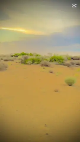 #fyppppppppppppppppppppppp  #foryouforyoupageシ゚viral☆♡💯viwesproblem  #viwesproblem😌🙏💔support💔  #foryiupage🥺❣️plzunfreezmyAccount  #trendingtiktokforyoupage 