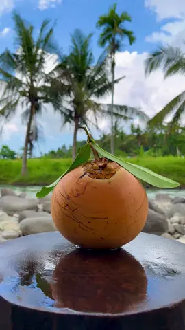 Perfect Coconut Cutting Skills Ever. 🌴 🥥 #cuttingskills #asmr #coconut