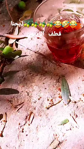 #القطرانه_الاردن_السعوديه_تيك_توك #الشعب_الصيني_ماله_حل😂😂 