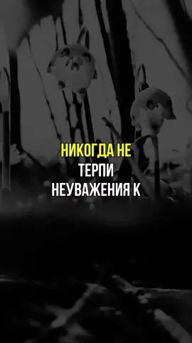 #психология #саморазвитие 
