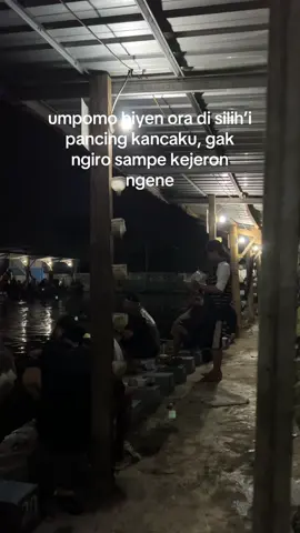 duek belonjo sampe katut di pangan lele #fyp #angglerfomo #rilislelejawatimur #rilislelesidoarjo 