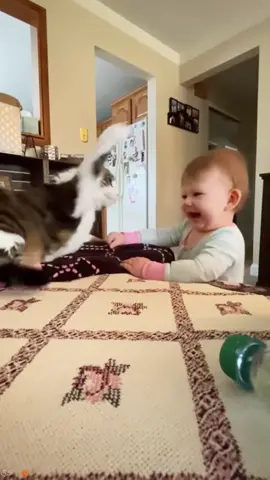 Cats and Babies #cat #catsoftiktok #catlover #funny #funnyvideos #foryou #fypage #fypツ #funnycat #funnytiktok #cats