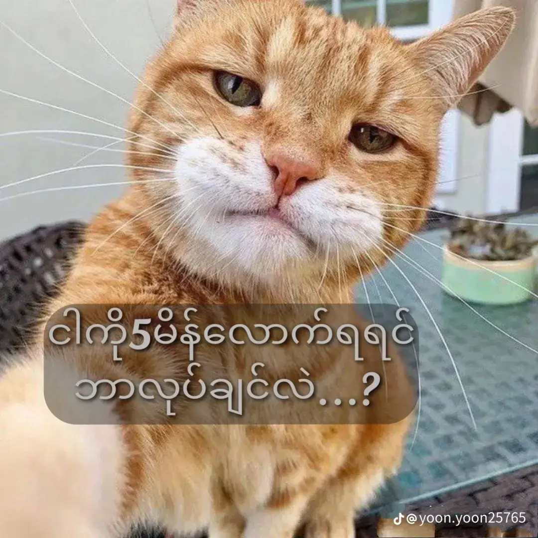 ဘာညာပေါ့ကွာ#fyppppppppppppppppppppppppppp 