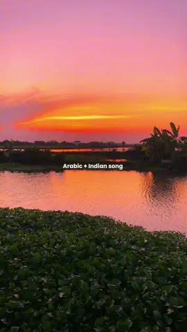 Candu banget 🫨 #arabicsong #indiansong #arabictiktok #fyp 