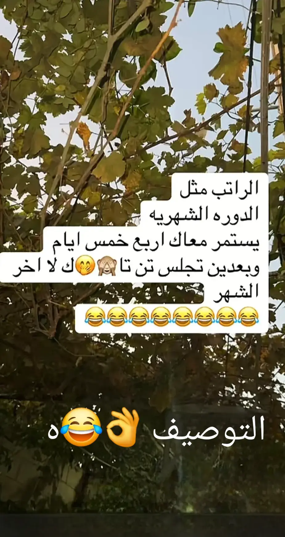 #اكسبلور #الحايط_الفيضه_الوسعه #ذوقي_للناس_الرايقه #اكسبلور 