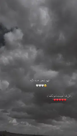 #CapCut #ترهونه_طرابلس_بنغازي_اجدابيا_البيضاء #مصر_السعوديه_العراق_فلسطين #مصراته_ليبيا #fyppppppppppppppppppppppp 