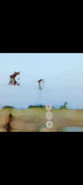 ❤️❤️❤️❤️❤️❤️