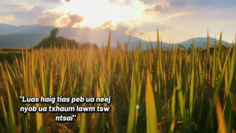 Luas haig tias peb ua neej nyob ua txhum lawm tsw ntsai, tsuav yos paub tshum txawj dawg, #hmoob #hmoobtojsiab #hmoobthoobntuj #xuhuong #tinhviewlaochai  @Tỉnh View Lao Chải  @Tỉnh View Lao Chải 