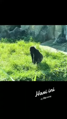 #padahariini 