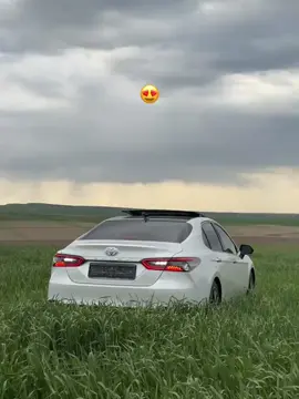 ❤️‍🔥😻