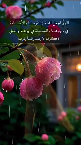 #خواطر #tiktok 