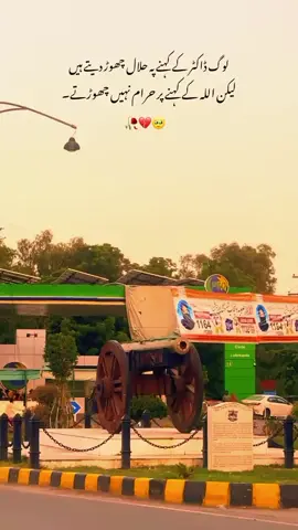 سنگت ویڈیو وائرل کریسو آ پ ہیں  فاریو پیج🤪🤪