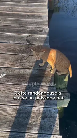 Vous en pensez quoi ? C’est fascinant 🤯 #animals #animalsoftiktok #nature #scary #fyp 