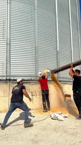 Will a grain silo explode? #grainstorage #disaste #explosion #foryoupage #Knowledge