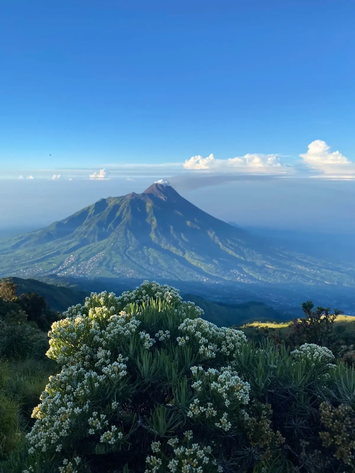 #fyppppppppppppppppppppppp #view #merbabu 